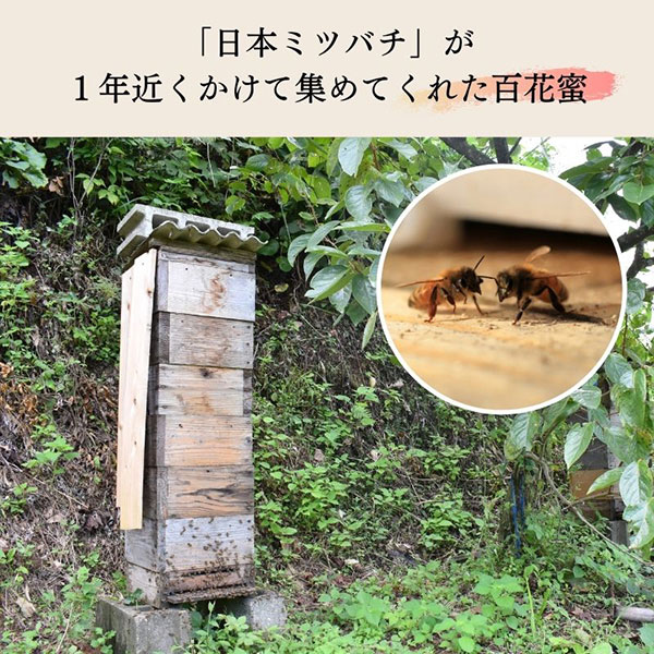 佐賀玉屋 / 日本ミツバチ純粋はちみつ １Kg